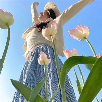 国产精品朝堂清正《清正朝堂》全集 - 朝堂清正廉明